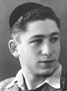 תמונת פוקס דב ז"ל