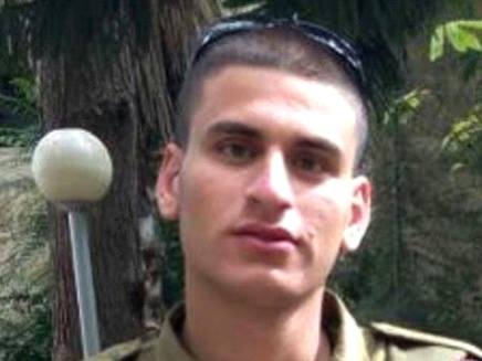 תמונת תורג